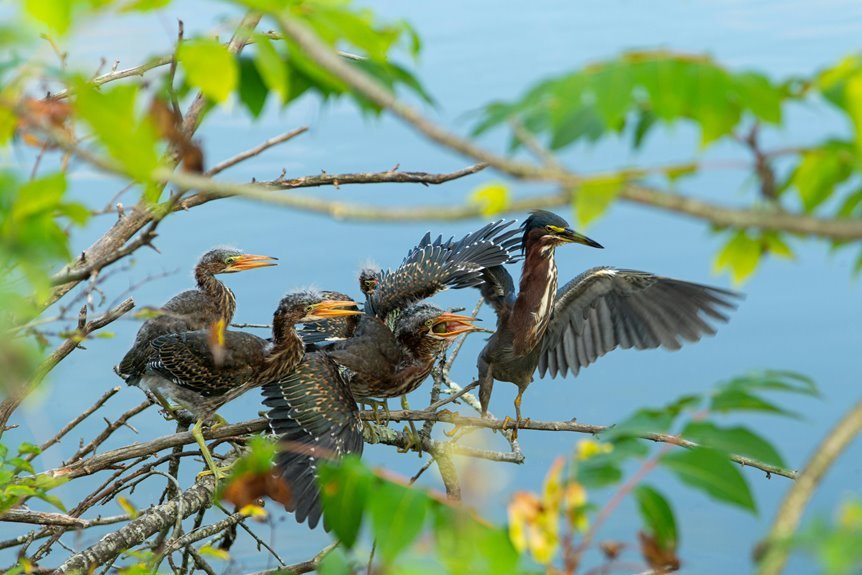 emergency call reliability metrics