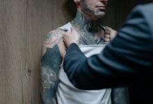 fraud investigation oversight network