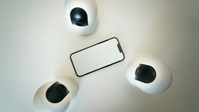 fraud oversight security council