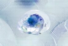 fraud prevention caller network