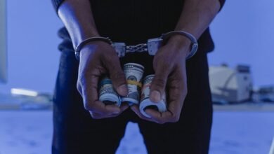 fraud risk intelligence division