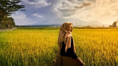 online model for growth