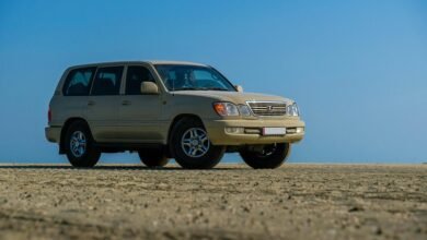 reliable model for stability